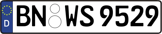 BN-WS9529