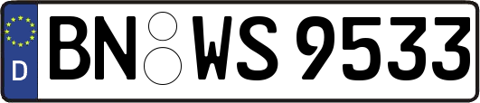 BN-WS9533