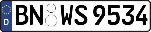 BN-WS9534
