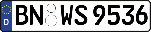 BN-WS9536