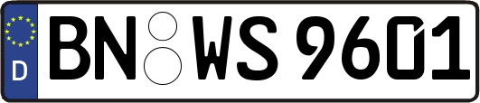 BN-WS9601
