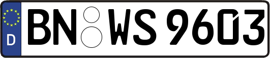 BN-WS9603