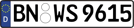 BN-WS9615