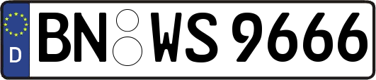 BN-WS9666