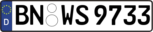 BN-WS9733