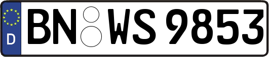 BN-WS9853