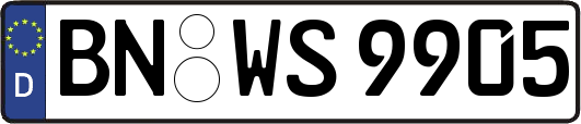 BN-WS9905