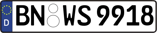 BN-WS9918