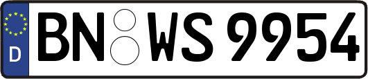 BN-WS9954