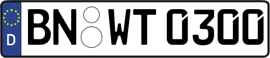 BN-WT0300