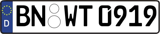 BN-WT0919