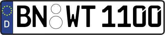 BN-WT1100