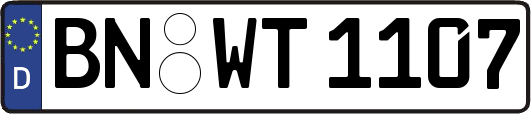 BN-WT1107