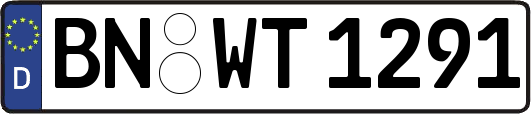 BN-WT1291