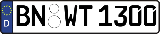 BN-WT1300