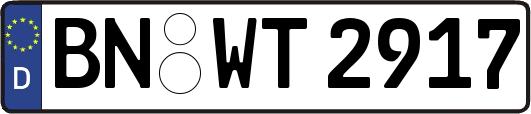 BN-WT2917