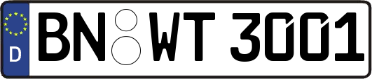 BN-WT3001
