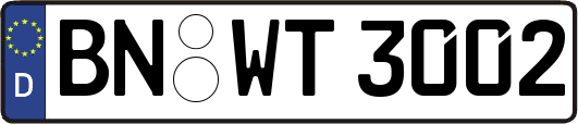 BN-WT3002