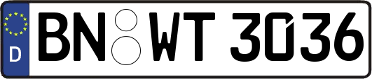 BN-WT3036