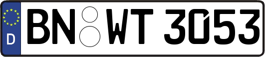 BN-WT3053