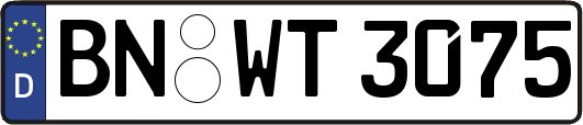 BN-WT3075