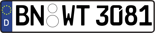 BN-WT3081