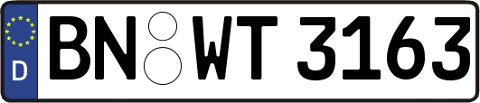 BN-WT3163