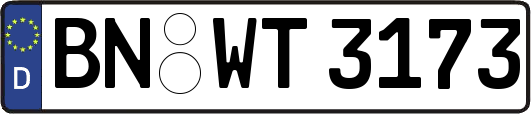 BN-WT3173