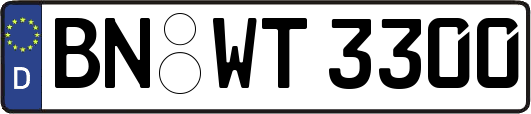 BN-WT3300