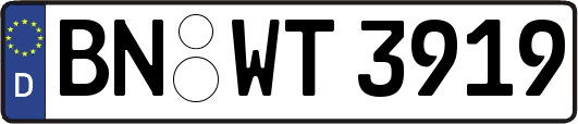 BN-WT3919