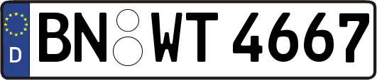 BN-WT4667
