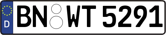 BN-WT5291