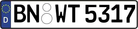 BN-WT5317
