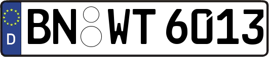 BN-WT6013