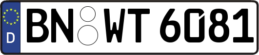 BN-WT6081