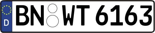 BN-WT6163