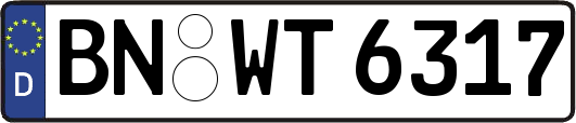BN-WT6317