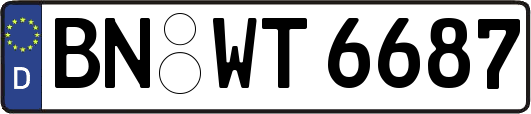 BN-WT6687