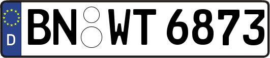 BN-WT6873