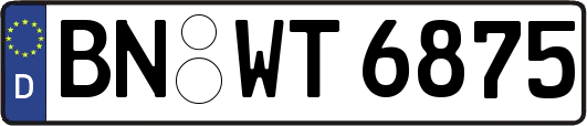 BN-WT6875
