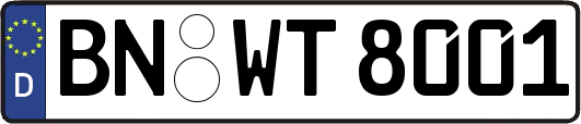 BN-WT8001