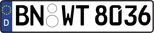 BN-WT8036
