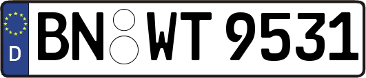 BN-WT9531
