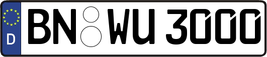 BN-WU3000