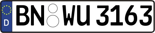 BN-WU3163