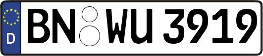 BN-WU3919