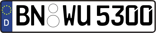 BN-WU5300