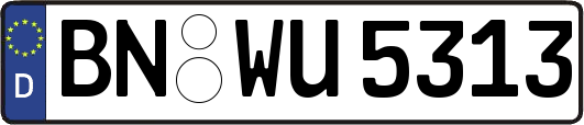 BN-WU5313