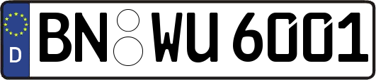 BN-WU6001