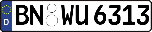 BN-WU6313